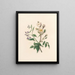 La fête des fleurs Pl11 - Jane Elizabeth Giraud — framed artwork on a wall