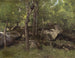 Felsen im Fontainebleau-Wald - Jean-Baptiste-Camille Corot — Ansicht des Kunstwerks