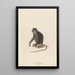 L'Ascagne - Jean-Baptiste Audebert — framed artwork on a wall