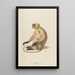 L'Entelle - Jean-Baptiste Audebert — framed artwork on a wall
