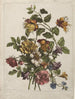 c 1680-95 - Jean-Baptiste Monnoyer — Ansicht des Kunstwerks