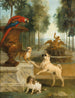 Tre cani e un ara in un parco - Jean-Baptiste Oudry — vista dell’opera