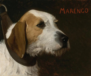 JeanLon Grme - Marengo.webp