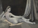 Odalisque in grigio - Jean-Auguste-Dominique Ingres — vista dell’opera