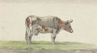 Jean Bernard - Staande koe naar rechts.webp