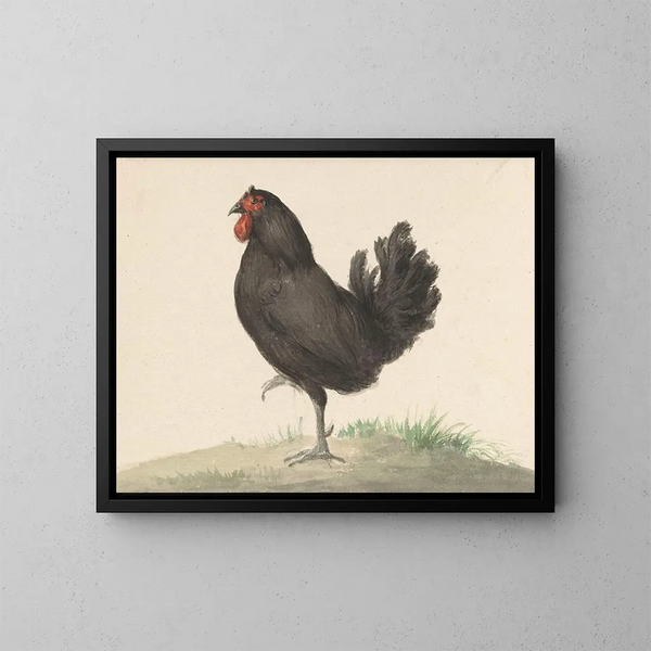 Huhn schwarz stehend - Jean Bernard — gerahmtes Bild an der Wand