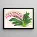 Aerides maculosum - Jean Jules Linden — gerahmtes Bild an der Wand