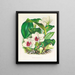 Bifrenaria harrisoniae - Jean Jules Linden — gerahmtes Bild an der Wand