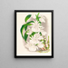 Catasetum bungerothi - Jean Jules Linden — gerahmtes Bild an der Wand