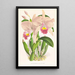 Cattleya Trianae - Jean Jules Linden — gerahmtes Bild an der Wand
