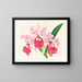 Cattleya gigas - Jean Jules Linden — gerahmtes Bild an der Wand