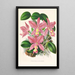 Cattleya nobilior - Jean Jules Linden — quadro incorniciato alla parete