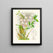 Dendrobium bursae - Jean Jules Linden — gerahmtes Bild an der Wand