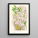 Dendrobium stratiotes - Jean Jules Linden — quadro incorniciato alla parete