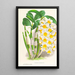 Dendrobium thyrsiflorum - Jean Jules Linden — quadro incorniciato alla parete