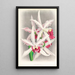 Laelia elegans - Jean Jules Linden — gerahmtes Bild an der Wand