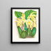 Lycaste costata - Jean Jules Linden — quadro incorniciato alla parete
