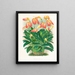 Masdevallia est fougueux - Jean Jules Linden — gerahmtes Bild an der Wand