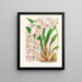 Odontoglossum alexandrae var. cutsemianum - Jean Jules Linden — gerahmtes Bild an der Wand