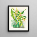 Odontoglossum duvivierianus - Jean Jules Linden — gerahmtes Bild an der Wand