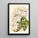 Phalaenopsis Stuartiana - Jean Jules Linden — gerahmtes Bild an der Wand
