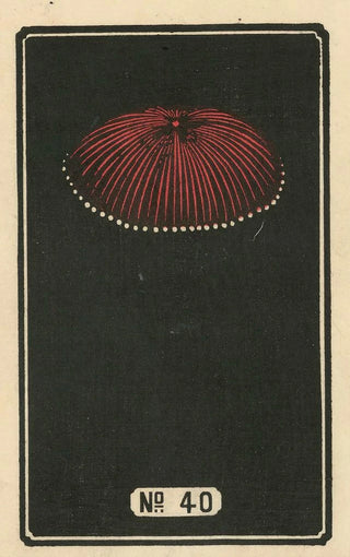 Jinta Hirayama - Night Fireworks no 40.webp