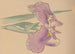 Hogajo Pl08 Painting - Jiro Takeuchi — artwork view