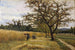 Moisson - Joaquim Vayreda — Ansicht des Kunstwerks