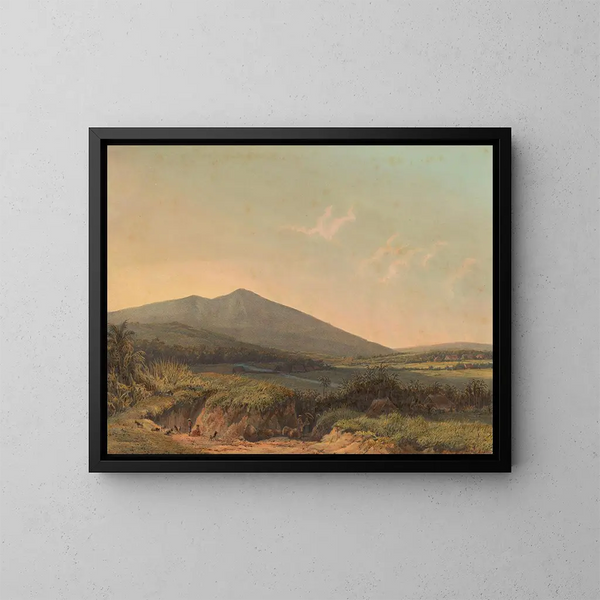 Ansicht von Kedungbadak - Johan Conrad Greive — gerahmtes Bild an der Wand