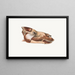 Dromedary Head after removal of facial muscles - Johan Erik Vesti Boas — framed artwork on a wall