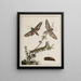 Archives de l'histoire des insectes Pl04 - Johann Caspar Füssli — framed artwork on a wall