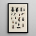 Archive der Geschichte der Insekten Pl31 - Johann Caspar Füssli — gerahmtes Bild an der Wand