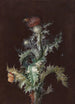 Chardon avec insectes - Johann Christoph Dietzsch — Ansicht des Kunstwerks
