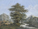 Paesaggio boscoso con quercia sul bordo di un fiume - Johann David Passavant — vista dell’opera