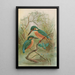 Alcedo ispida - Johann Friedrich Naumann — gerahmtes Bild an der Wand