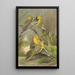 Budytes citreolus Budytes campestris - Johann Friedrich Naumann — gerahmtes Bild an der Wand