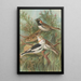 Calcarius lapponicus Plectrophenax nivalis - Johann Friedrich Naumann — gerahmtes Bild an der Wand