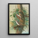 Certhia familiaris Certhia familiaris brachydactyla - Johann Friedrich Naumann — quadro incorniciato alla parete