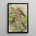 Coccothraustes coccothraustes - Johann Friedrich Naumann — gerahmtes Bild an der Wand