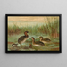 Colymbus fluviatilis Tunst, piccolo tarabuso - Johann Friedrich Naumann — quadro incorniciato alla parete