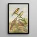 Emberiza aureola Pall Emberiza caesia Cretschmar - Johann Friedrich Naumann — quadro incorniciato alla parete