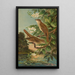 Erithacus luscinia Erithacus philomela - Johann Friedrich Naumann — quadro incorniciato alla parete