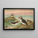 Fratercula arctica L Macareux arctique - Johann Friedrich Naumann — framed artwork on a wall