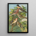 Fringilla montifringilla Fringilla coelebs Carduelis carduelis - Johann Friedrich Naumann — quadro incorniciato alla parete