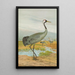 Grus grus - Johann Friedrich Naumann — framed artwork on a wall