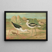 Himantopus himantopus Recurvirostra avocetta - Johann Friedrich Naumann — gerahmtes Bild an der Wand