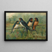 Hirundo rustica Hirundo rustica Savignii - Johann Friedrich Naumann — gerahmtes Bild an der Wand