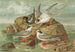 Hydrochelidon fissipes, Hydrochelidon hybrida, Hydrochelidon nigra - Johann Friedrich Naumann — Ansicht des Kunstwerks