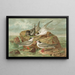 Hydrochelidon fissipes, Hydrochelidon hybrida, Hydrochelidon nigra - Johann Friedrich Naumann — gerahmtes Bild an der Wand