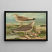 Larus canus Larus argentatus Brunn - Johann Friedrich Naumann — quadro incorniciato alla parete